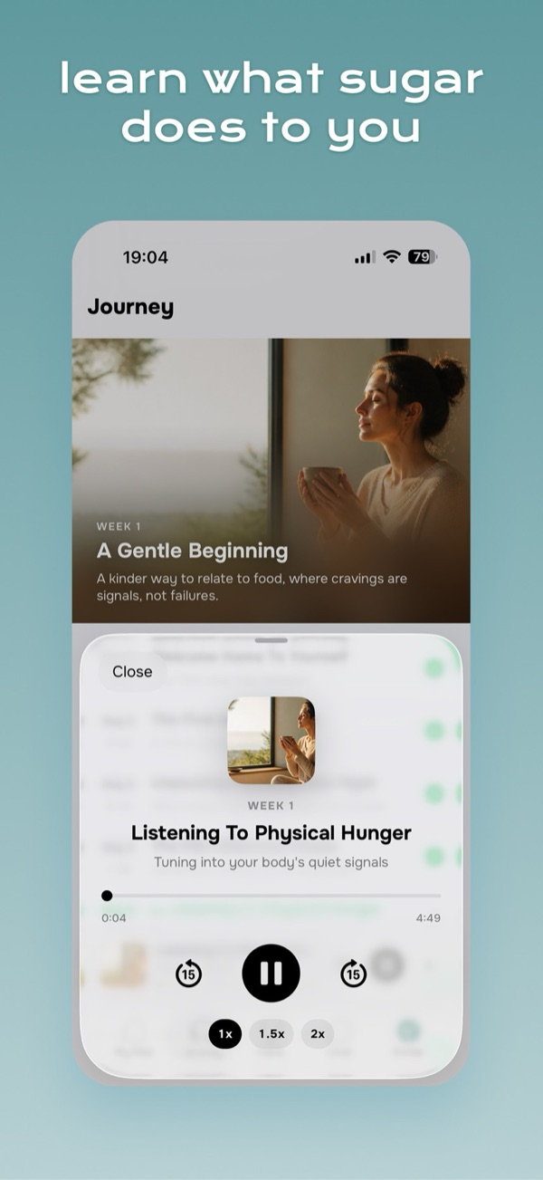Audio lessons journey